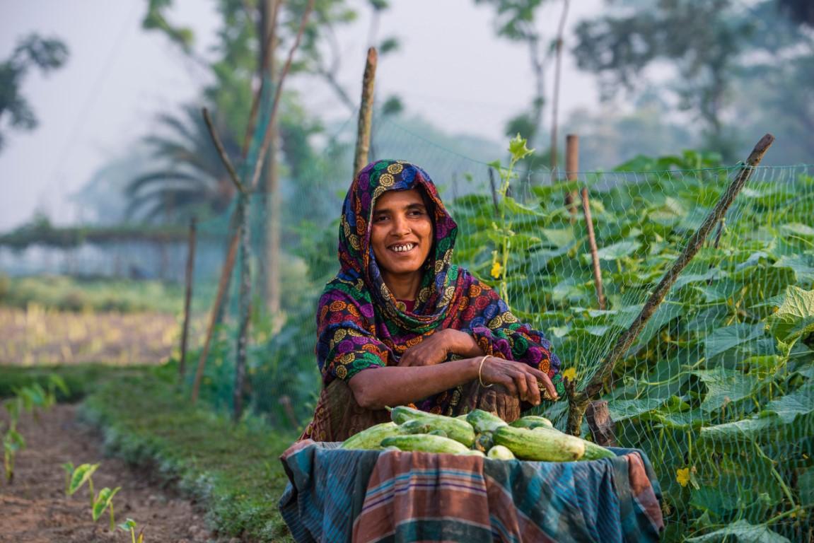 Resilience, Entrepreneurship, and Livelihood Improvement (RELI) Project